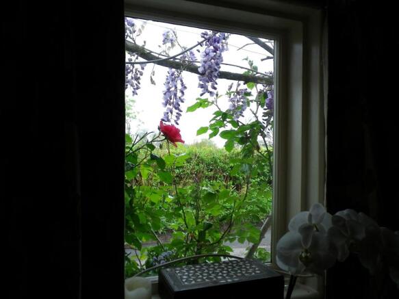 Window View 2