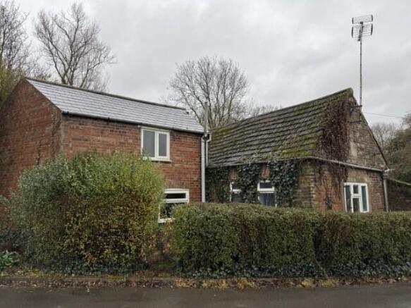 1 Small T202601141205.jpg