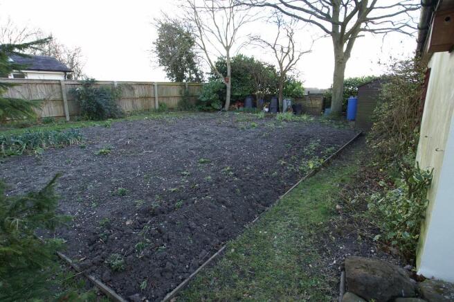 Vegetable Plot