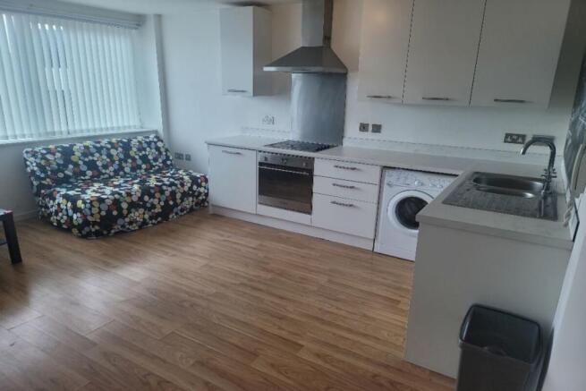 Kitchen / Living Area