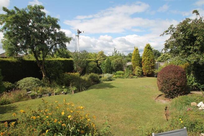 garden.jpg