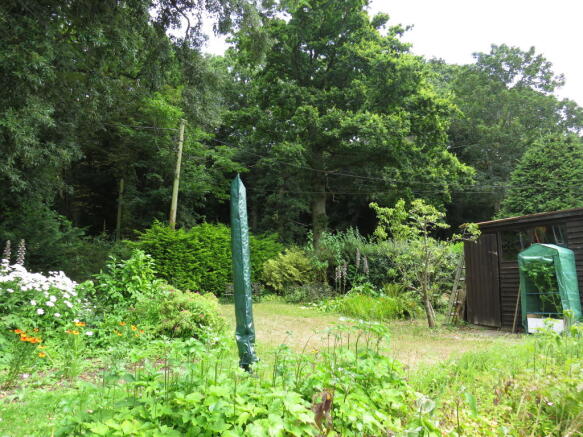 Photo 10