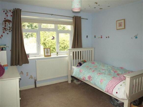 Photo15