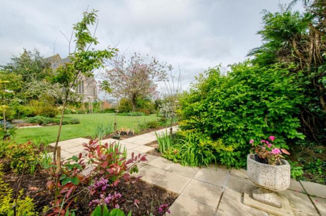 Picture No.11
