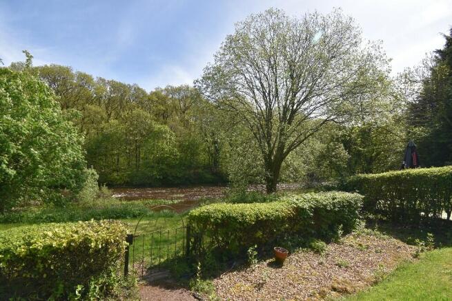 Garden/River
