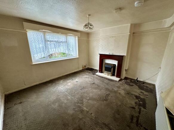 IMG 4801 T202602051309.jpeg