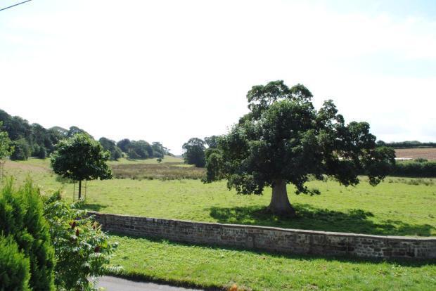 View To Front