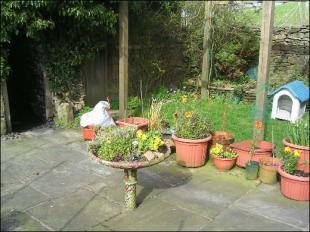 Photo 5