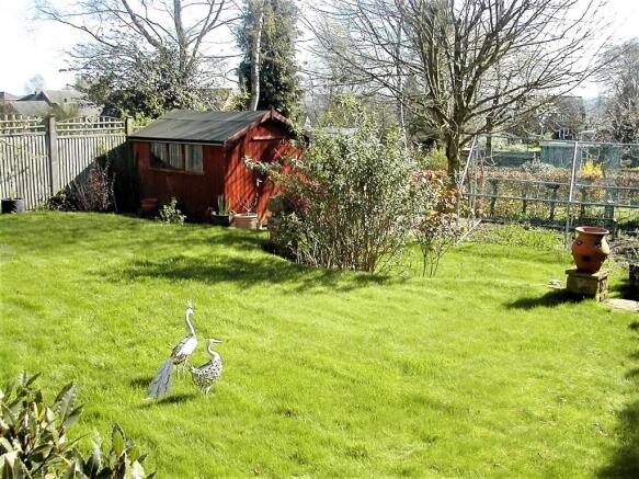 Back Garden