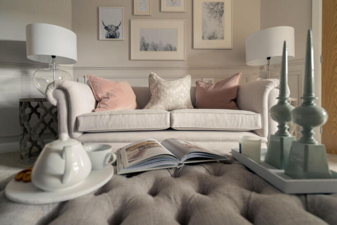 Show home living room