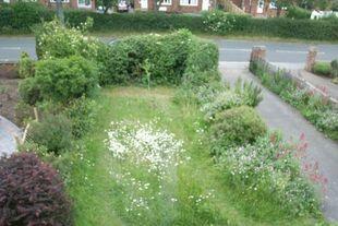 Front Garden
