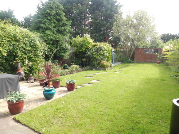 Photo 5