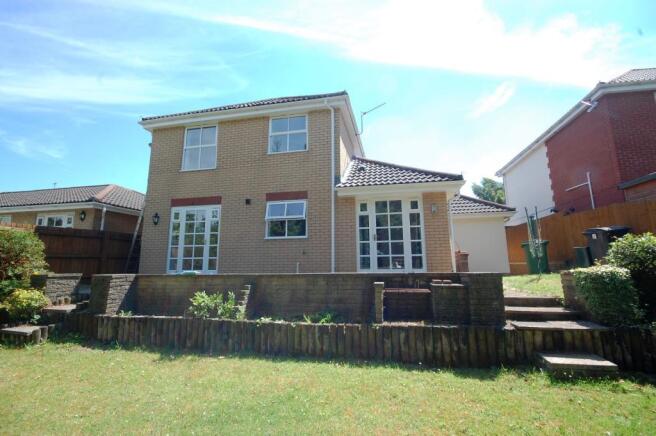 Rear Aspect