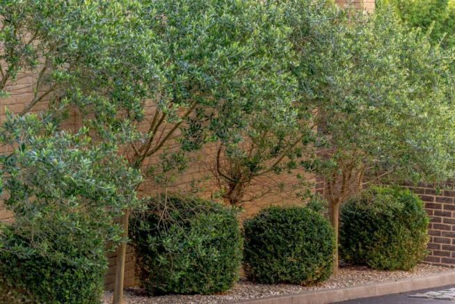 MORTIMER COURT LIFESTYLE.jpg