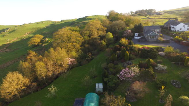 DJI_0009.JPG