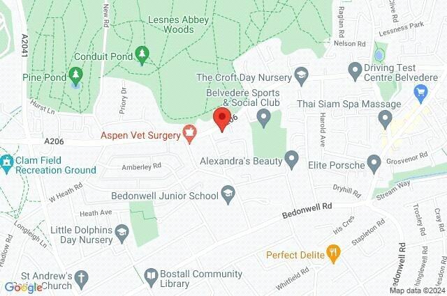 Google Maps Image