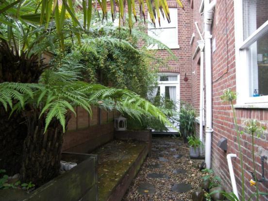 Side Garden
