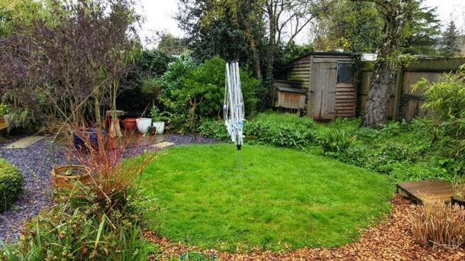 new garden 3.jpg