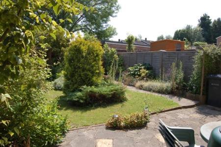 Rear Aspect