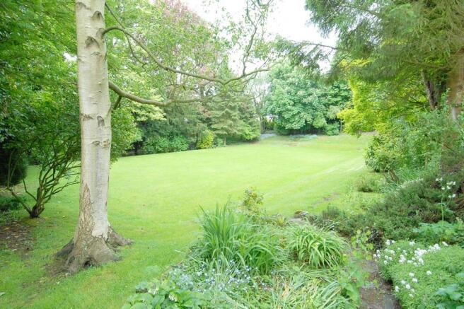 Grounds