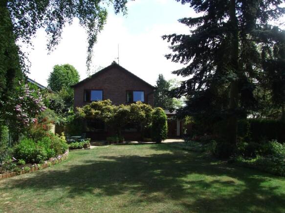 Photo 8