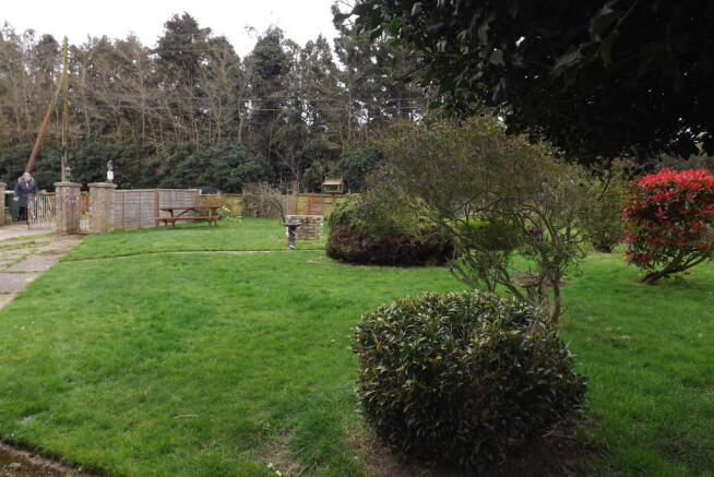 Photo 15