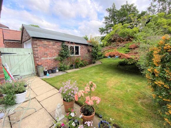 Summer garden Photo 1