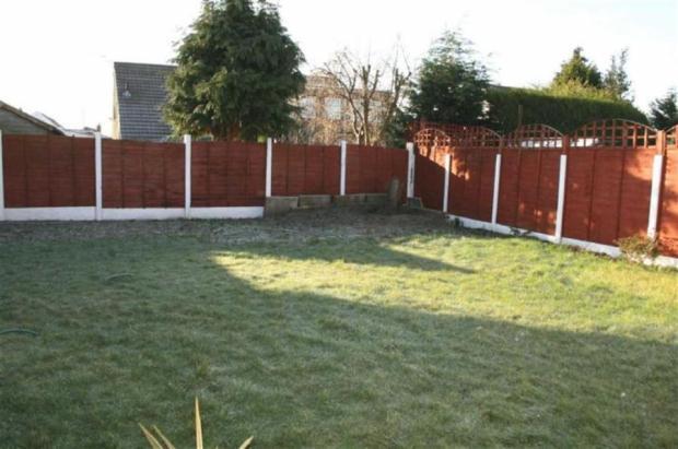 Garden 3