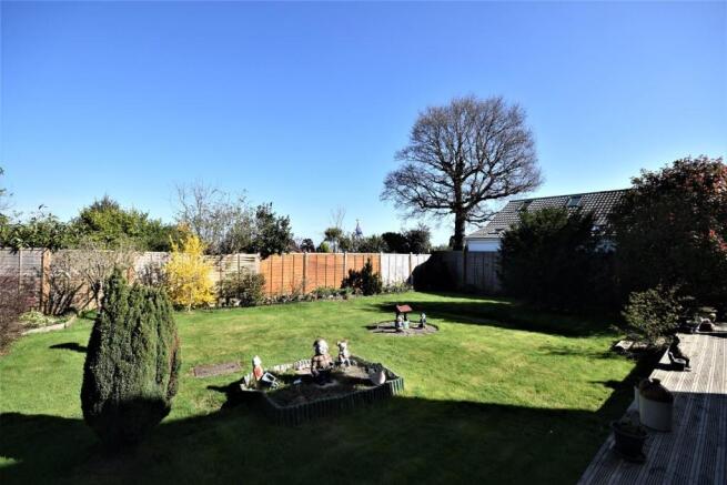 BACK GARDEN.JPG