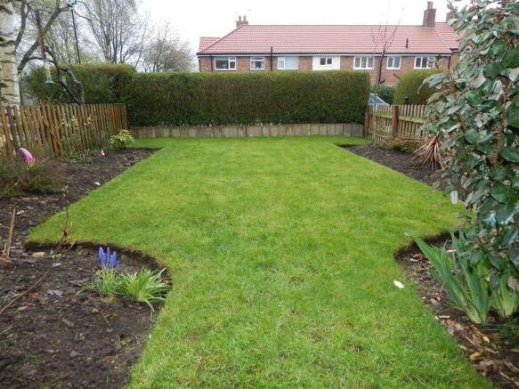 front garden (2).JPG