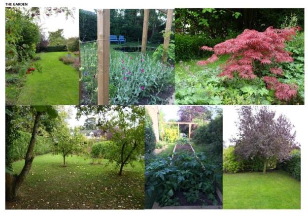 The Garden.jpg