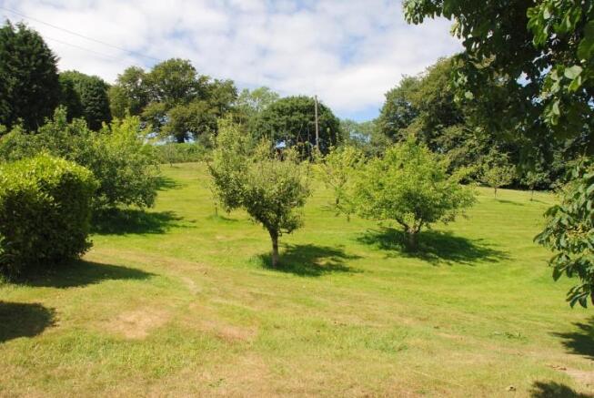 Communal Gardens