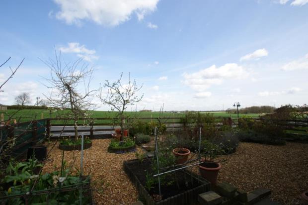 Rear Garden View