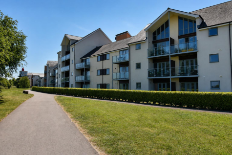 Kittiwake Drive, Portishead