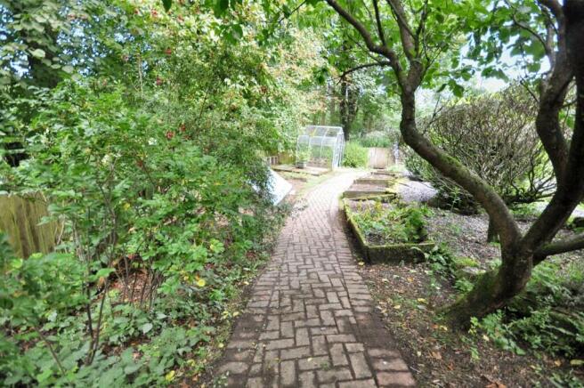 Back Garden