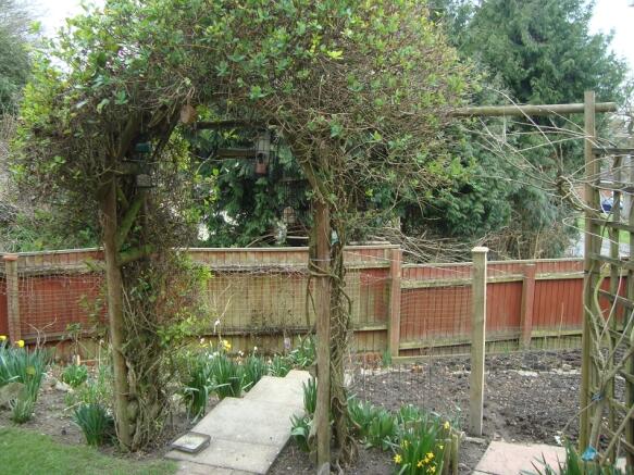 Photo 13