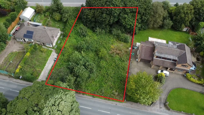 Amended red edge.png