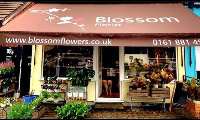 Blossom Florist.JPG