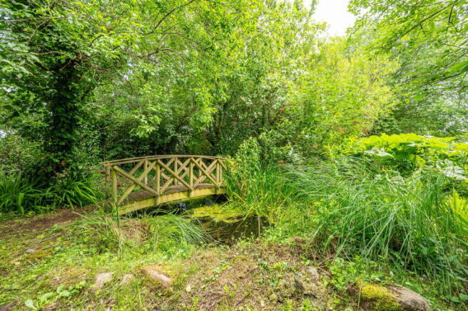 Photo 40