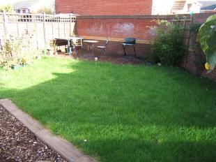 The Rear Garden