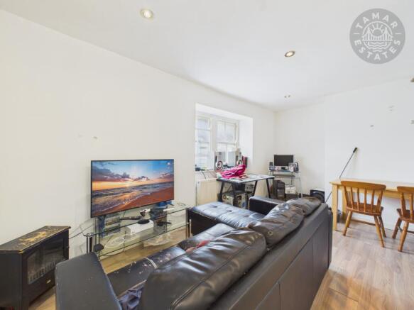 Kitchen/Living Area