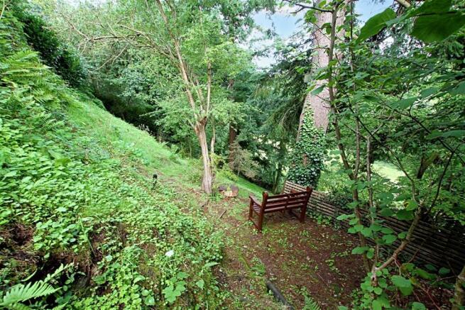Woodland and gardens