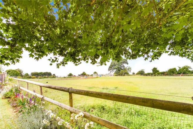 Field Behind