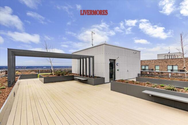 Communal Roof Terrace