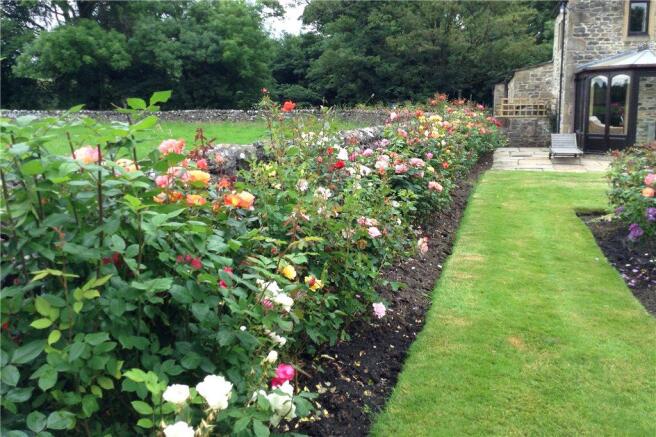 Rose Garden