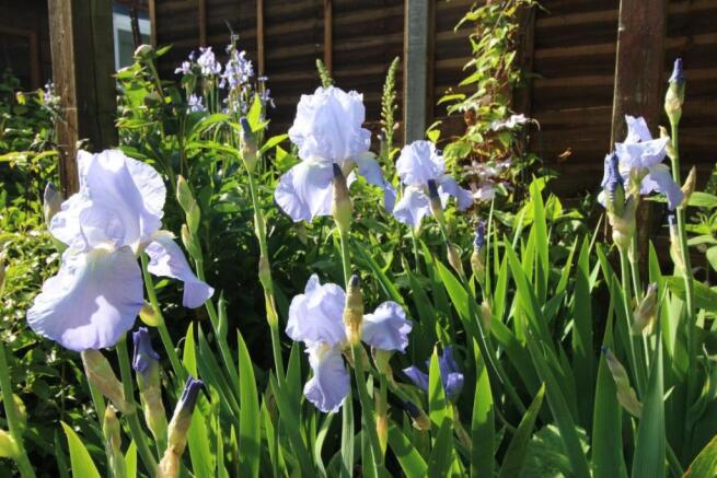Picture 13