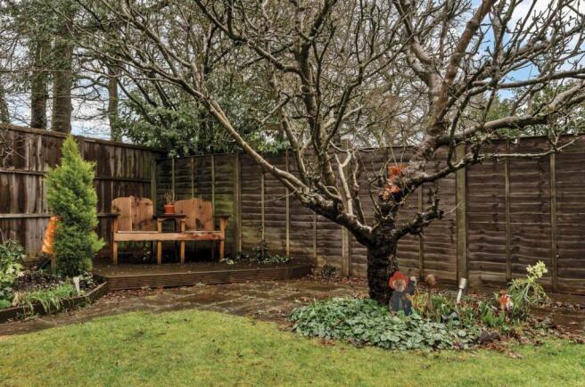 Garden at Back