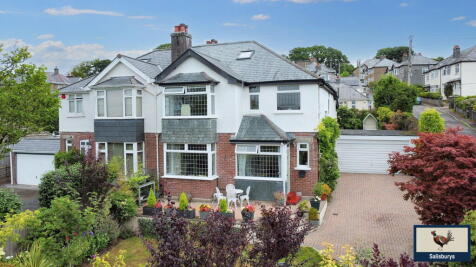 Chollacott Close, Tavistock, PL19