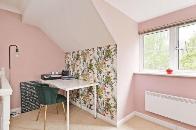 Study Area