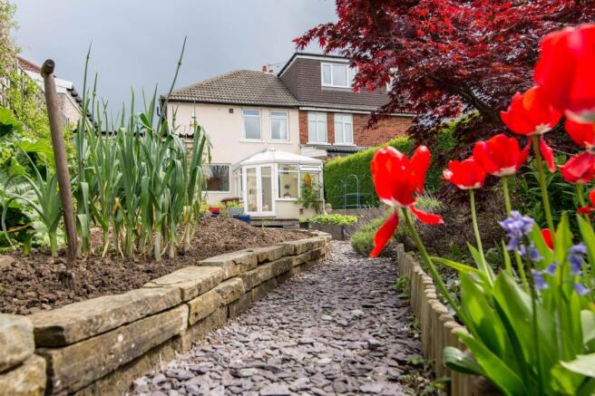Garden at Back